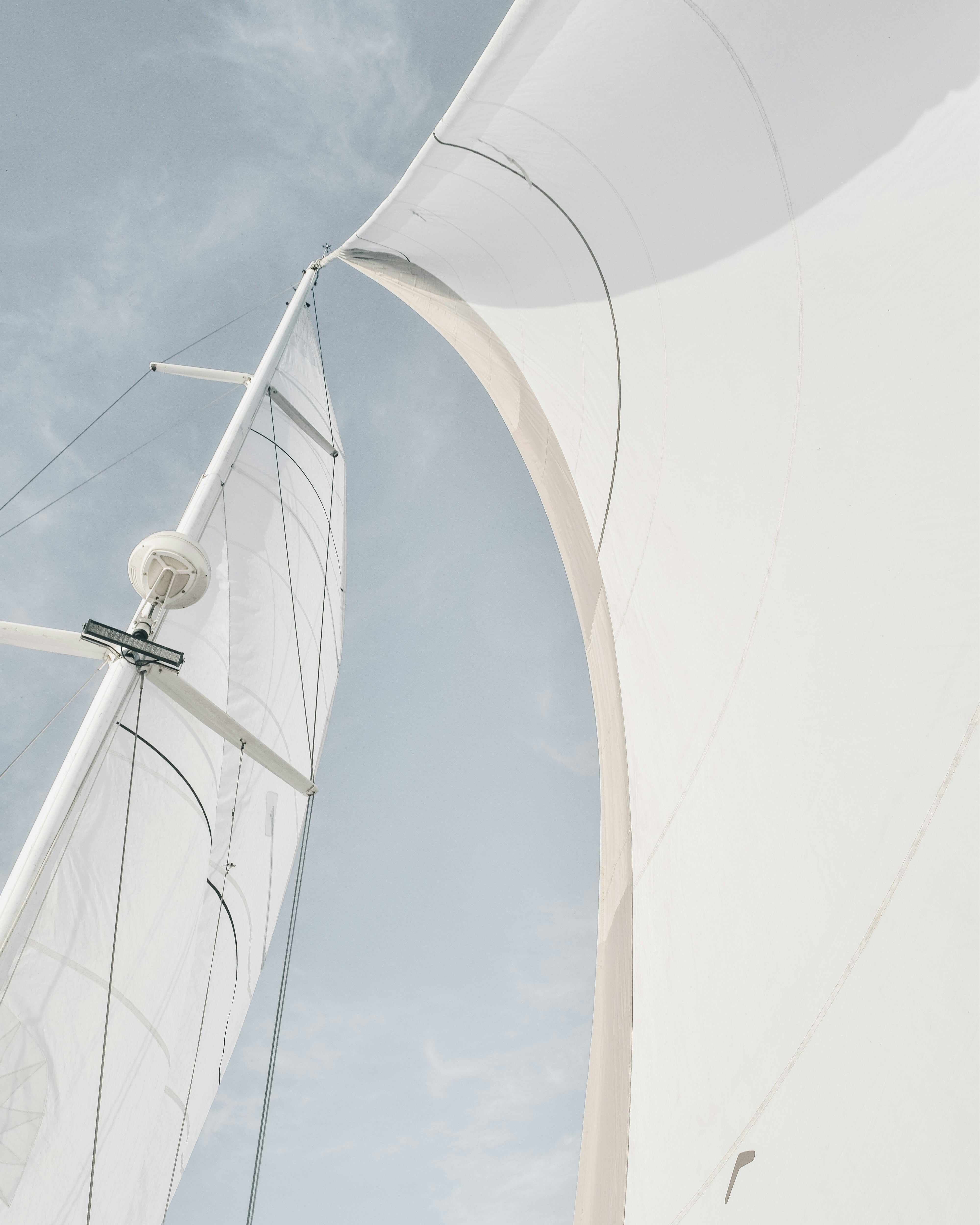 Genoa sail guide for cruising: choosing the right headsail for your sailing programme